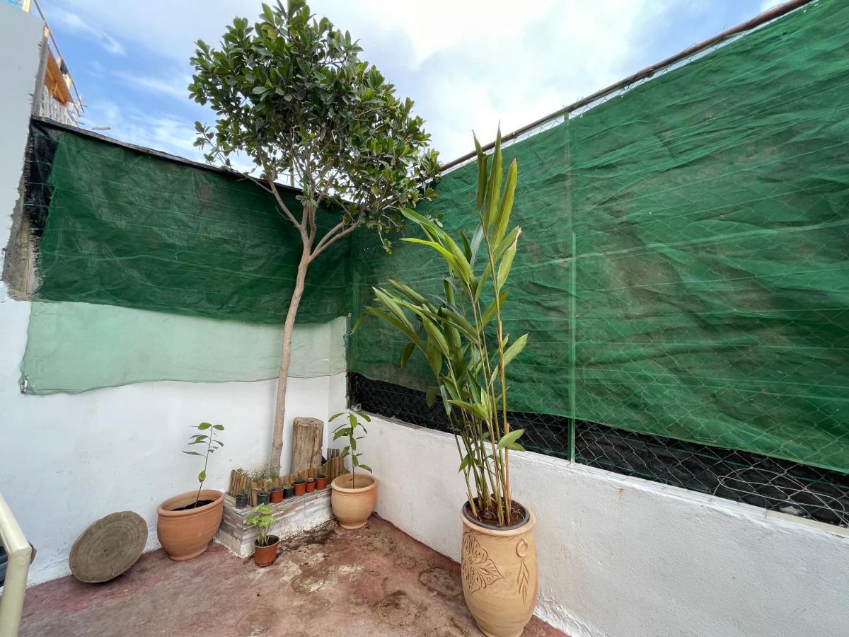Jungle Surf House Hostel Taghazout Kültér fotó