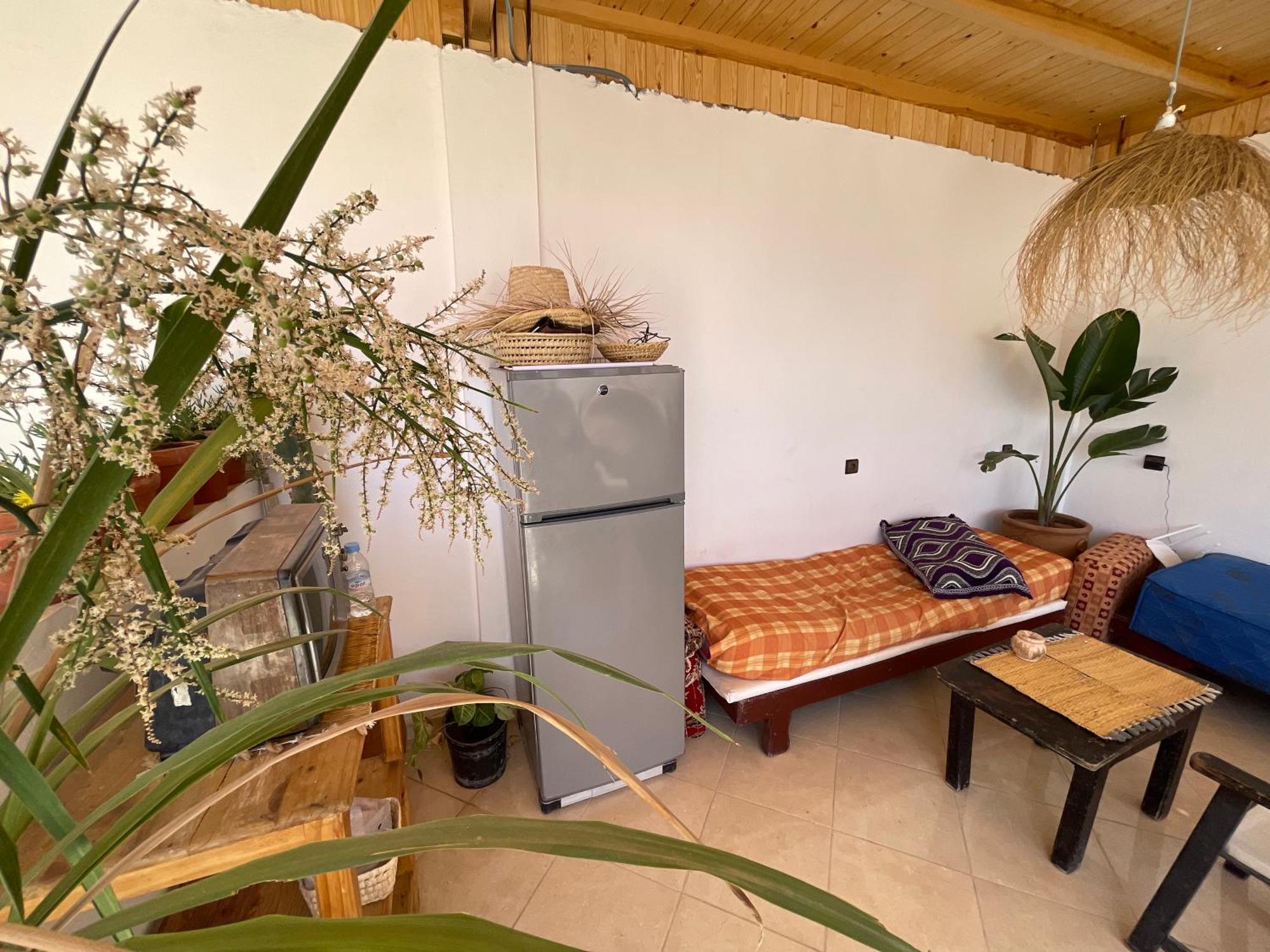 Jungle Surf House Hostel Taghazout Kültér fotó